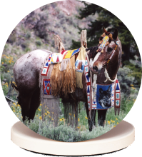 appcoaster2SM.png