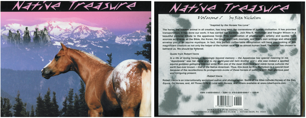 Native Treasure