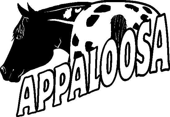 appaloosBBB.png