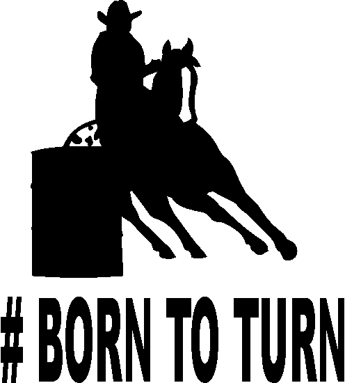 BornTurn.png