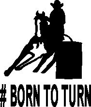 BornBarrelSM.png