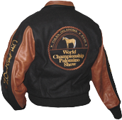 PHJB_Bomber2010_th.png