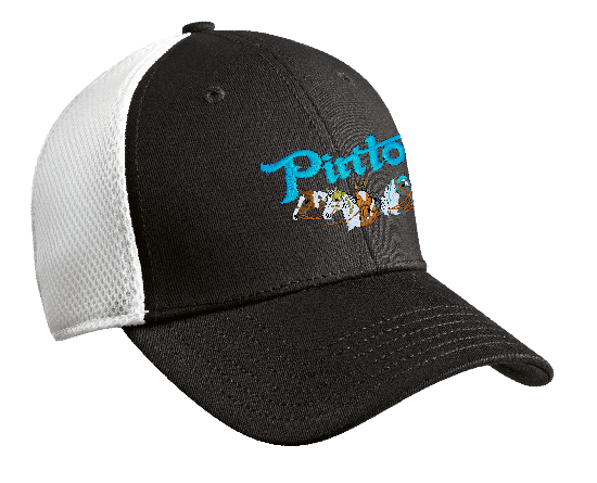 PintoWorldHat.png