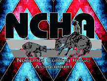 nchablanketsm