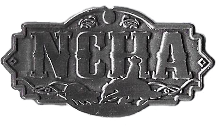 nhcahatpinsm.png